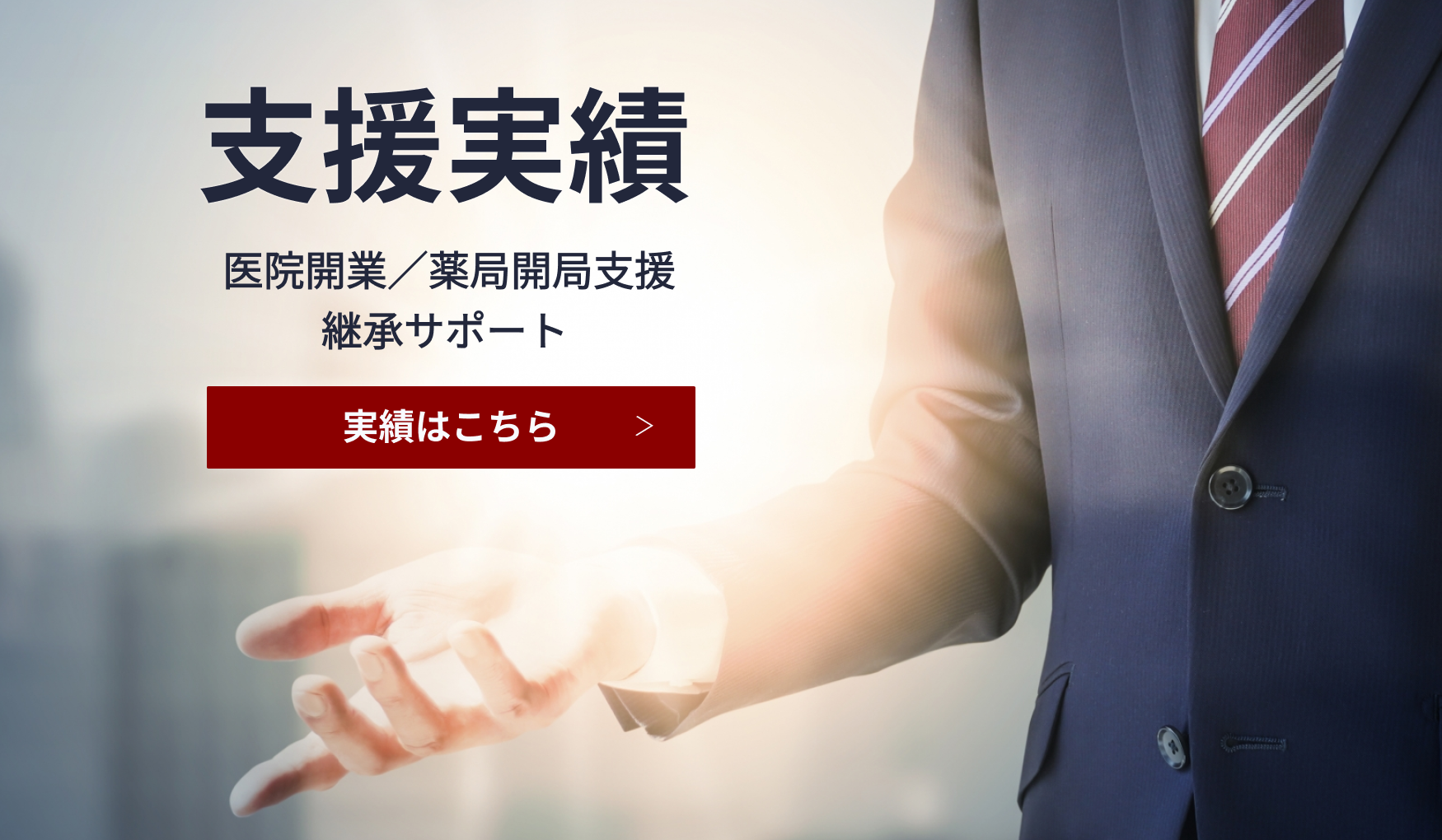支援実績